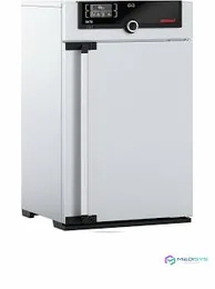 Estufa de Laboratorio Memmert SN-75 (74 l, ventilación natural)